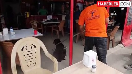 Ölümle sonuçlanabilen kuduz hastalığıyla ilgili veterinerden aşı uyarısı