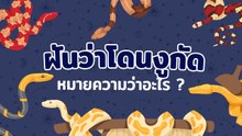 ฝันว่าโดนงูกัด หมายความว่าอะไร ?