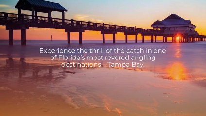 Best Fishing Spots in Tampa Bay, FL