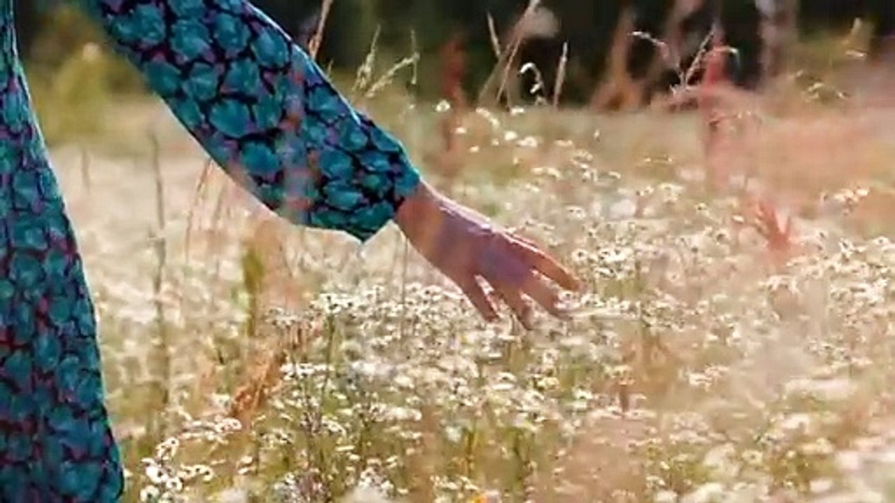 aaa