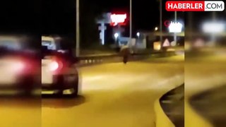Yalova'da kara yolunda sol şeritten yürüyen vatandaş paniğe neden oldu