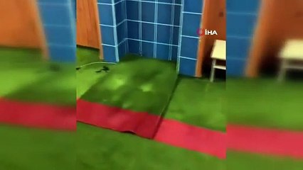 Korkunç anlar: Antalya'da camiyi yılanlar bastı!