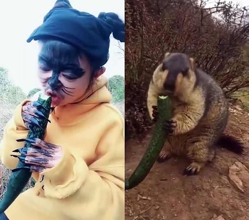 Funny video must watch 