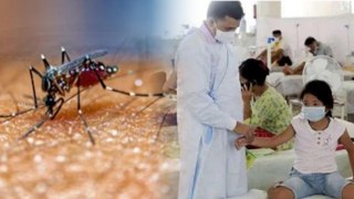 West Nile Fever क्या मच्छर के काटने से होता है, Symptoms & Treatment In Hindi | Boldsky