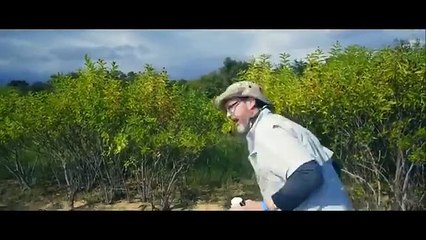 RABIA DE TIBURÓN PELICULA DE ACCION PELICULA COMPLETA EN ESPANOL LATINO