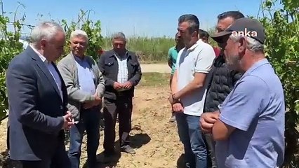 Manisalı çiftçi isyan etti: Atatürk ne dediyse iktidar tersini uyguluyor