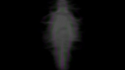 स्वर विज्ञान