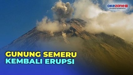 Download Video: Disertai Guguran Material Vulkanik, Gunung Semeru Kembali Erupsi dengan Tinggi Kolom Asap  Mencapai 1.000 Meter