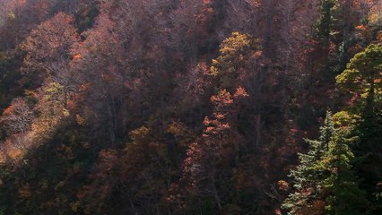 As soon as he opened his mouth