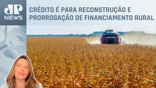 Kellen Severo: Agro do Rio Grande do Sul espera recursos do governo federal