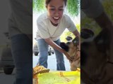 Dog Plays Challenge with Woman