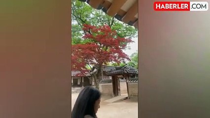 UNESCO Dünya Mirası: Changdeokgung Sarayı ve Bahçesi