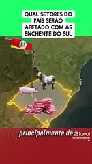 Quais setores do país serão afetados com a enchente no RS