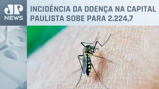 Todos distritos de SP apresentam aumento de casos de dengue