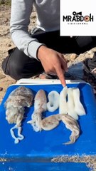 شوفو شنو كتاكلو - تتمة - Look what they eat