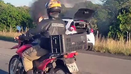 Incêndio destrói veículo no Povoado Bonito, zona rural de Piaçabuçu