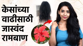 Hibiscus For Hair Growth : केसांच्या सर्व समस्यांसाठी जास्वंद रामबाण | Hair Care | Jaswand