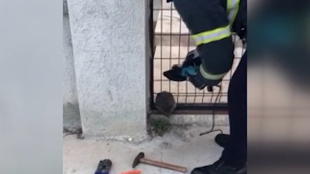 Bahçe kapısına sıkışan kirpiyi itfaiye kurtardı