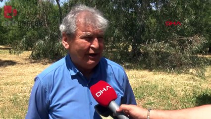 Arabistan ve Afrika'dan Türkiye'ye çöl tozu geliyor