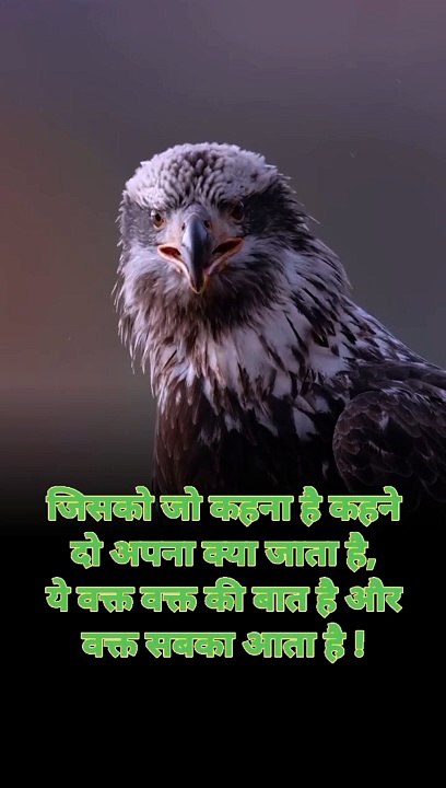 1000035441