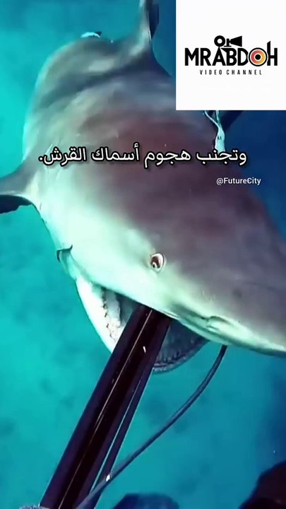 اخطر سكين في العالم ... The most dangerous knife in the world