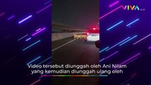 Kasihan! Kambing Kebingungan 'Nyasar' di Tol Layang MBZ