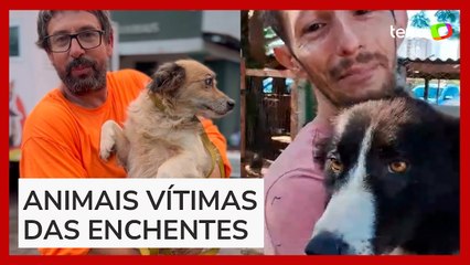 Tutores se emocionam ao reencontrarem animais perdidos nas enchentes no RS