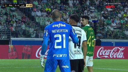 【COMPLETO】 Palmeiras x Liverpool-URU | Libertadores 2024