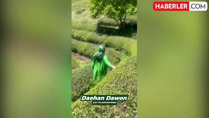 Güney Kore'yi, sarayları, geleneksel pazarları ve köyleri ile keşfedelim