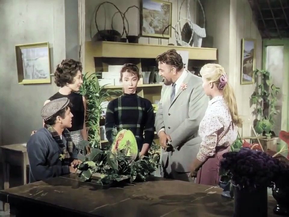 La piccola Bottega degli Orrori - FILM