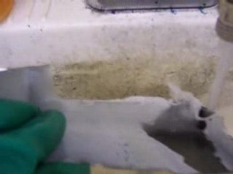 Powder Coating Remover, Rinses Powder Coat Away