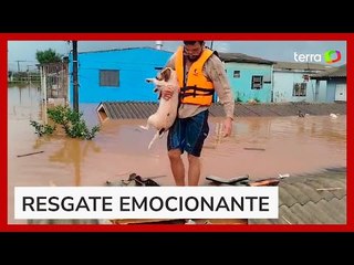 Homem quebra telhado de casa para resgatar cachorro ilhado em enchente no RS