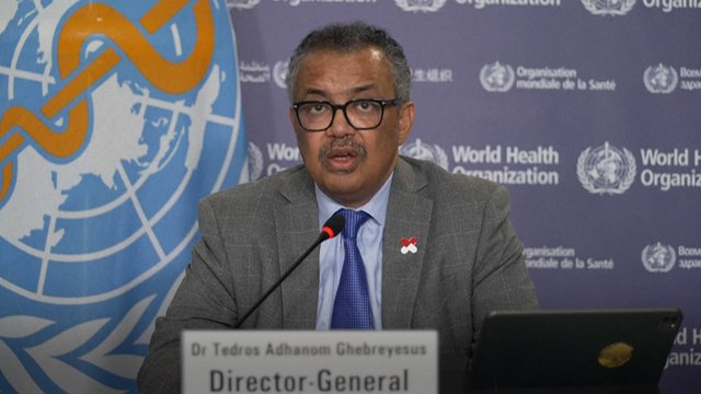 Gaza : il ne reste que trois jours de carburant aux hôpitaux du sud de l'enclave, alerte l'OMS