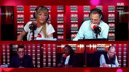 Réarmement démographique : faut-il interdire la gestation pour autrui ?