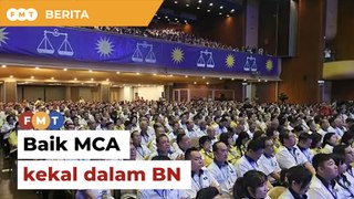 Lebih baik MCA kekal dalam BN, kata penganalisis
