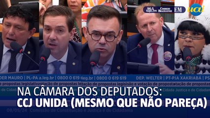 CCJ debate lei para punição de estelionato em desastres ambientais