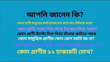 Bengali Interesting Animal Facts  Learning Time BD