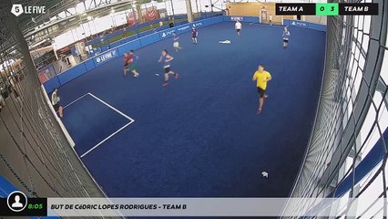 Video herunterladen: But de Cédric LOPES RODRIGUES - Team B