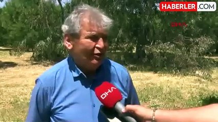 Türkiye, Arabistan ve Afrika'dan gelen çöl tozlarının etkisine giriyor