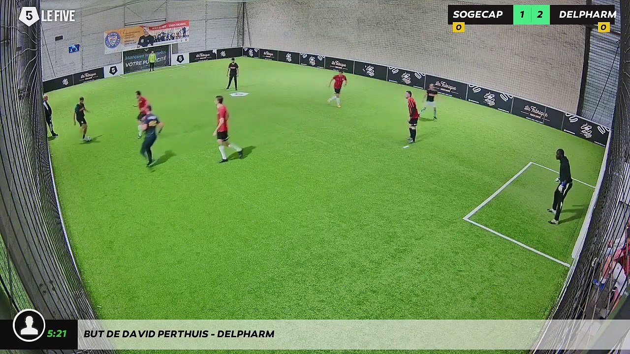 But de DAVID PERTHUIS - DELPHARM