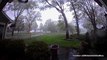 Every tree in this Michigan yard came down during tornado conditions