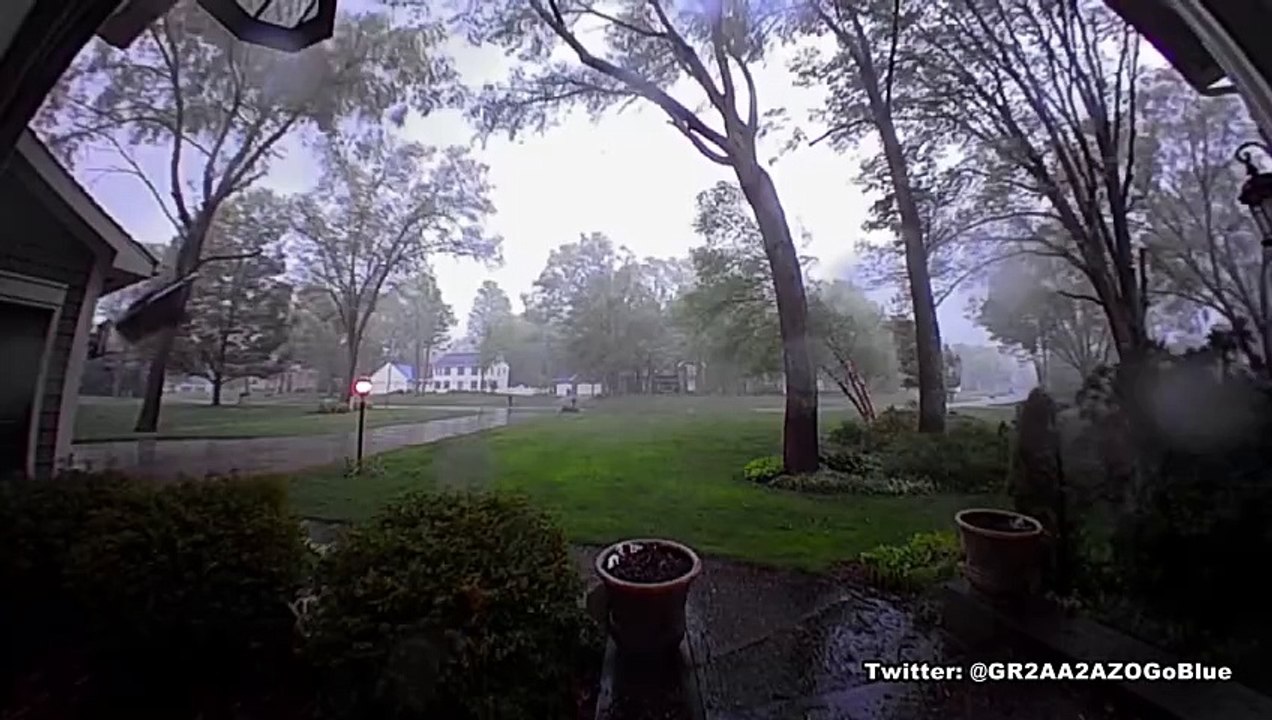 Every tree in this Michigan yard came down during tornado conditions