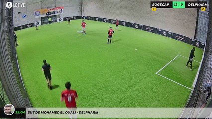 But de Mohamed EL OUALI - DELPHARM