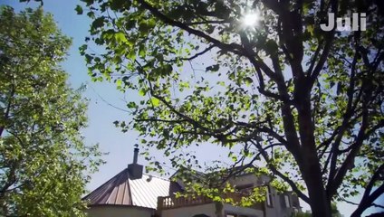 Killer Aunt 2024 #STM NEW New Movies 2024 Based On True Story