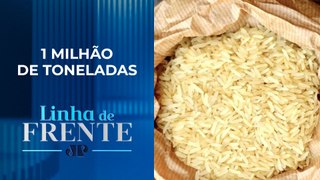 Brasil deve importar arroz para manter o preço do produto estável | LINHA DE FRENTE
