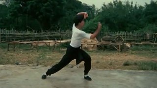 汉语 The Incredible Kung Fu Master 1979