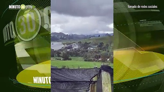 Un vendaval sembró el caos en el Carmen de Viboral y La Unión. ¡Tejados volando, árboles por el suelo y cultivos arrasados