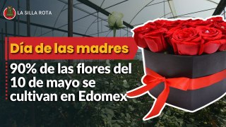 Día de las madres: 90% de las flores del 10 de mayo se cultivan en Edomex