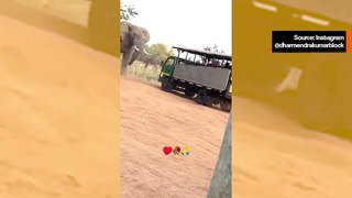 Vaikuttava video näyttää, kuinka norsu hyökkää kuorma-autoa vastaan, joka tunkeutui sen tilaan