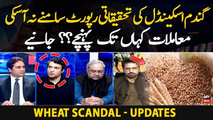 Wheat Scandal ki Investigation Report | Experts Analysis